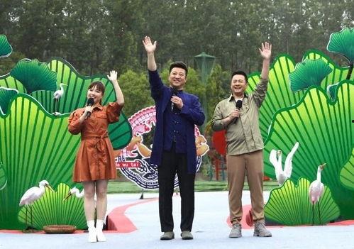 哈利作业最新爆料视频,揭秘神秘视频背后的惊人真相