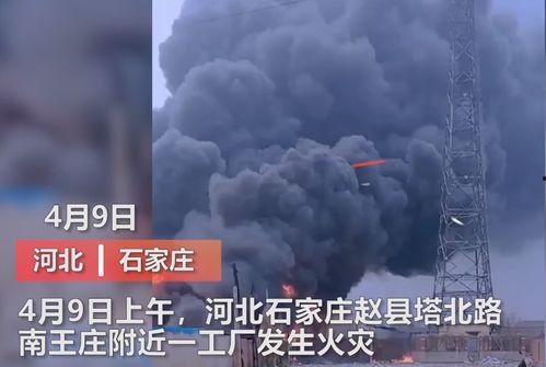 沈阳爆料媒体曝光视频最新,最新曝光视频揭露惊人内幕